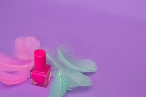 Pink nail polish with decorative elements of multi-colored feathers Stock Photos