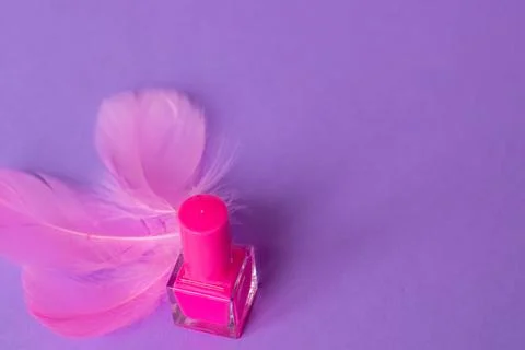 Pink nail polish with decorative elements of multi-colored feathers Stock Photos