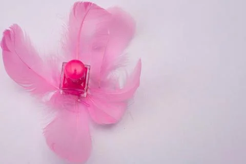 Pink nail polish with decorative elements of multi-colored feathers Stock Photos
