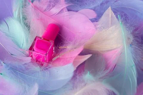 Pink nail polish with decorative elements of multi-colored feathers Stock Photos