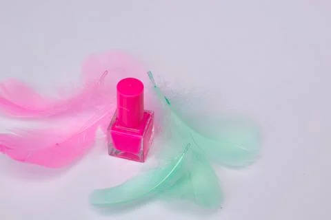 Pink nail polish with decorative elements of multi-colored feathers Stock Photos