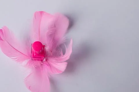 Pink nail polish with decorative elements of multi-colored feathers Stock Photos