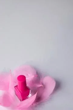 Pink nail polish with decorative elements of multi-colored feathers Stock Photos