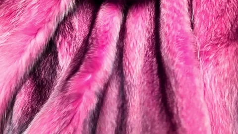 Pink natural fur background texture Stock Footage 167952430