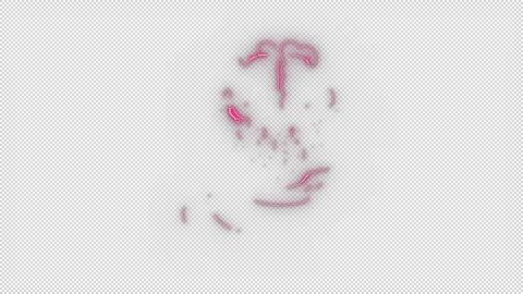 Pink Neon Brain Circuitry Held in Open Hand Stock Footage 320815048