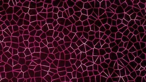 Pink Neon Cellular Web Pattern Animated Loop Stock Footage 344590132