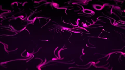 Pink neon colored abstract forms in a shape of seaweed floating on waves Stock Footage 282238158