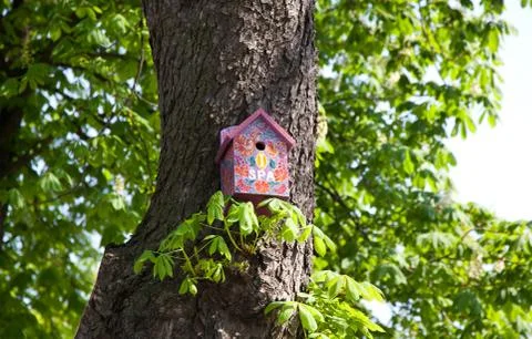 Pink nesting box Stock Photos