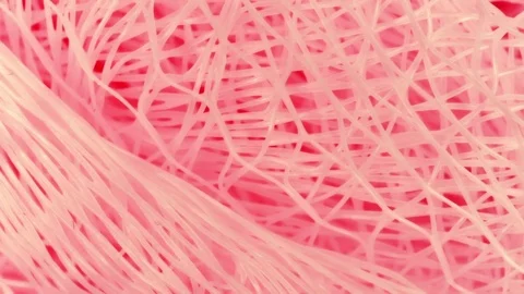 Pink netting background texture extreme close up stock footage Stock Footage 81040917