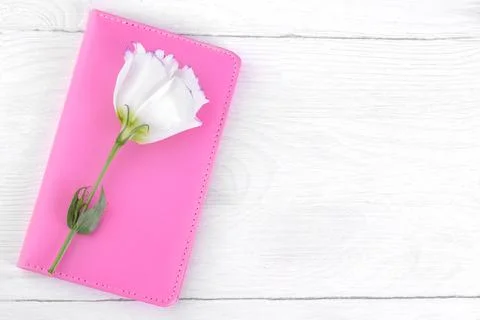 Pink notebook with a white flower eustoma on a white wooden table top with a Stock Photos