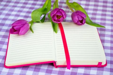 Pink notepad with lined paper and three purple tulips on it Stock Photos
