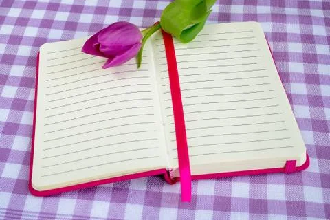 Pink notepad with lined paper and one purple tulip on it Stock Photos