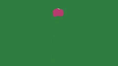 Pink object dot flower golf ball apple an arrow pointing up in the middle red Stock Footage 336049920