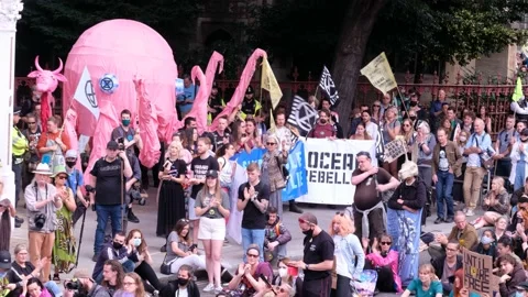 Pink Octopus in Applauding Crowd at Extinction Rebellion Animal Rights Protest Stock Footage 160171853