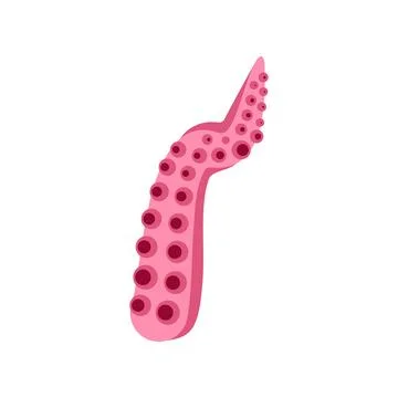 Pink octopus tentacle with suction cups cartoon illustration Stock Illustration