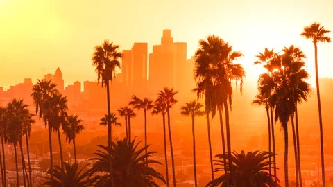Pink &amp; Orange Glows In This Sunset Timelapse Of Downtown La And Palm Trees Stock Footage 88162218
