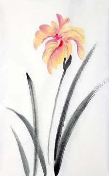 Pink orange iris Illustrazione stock