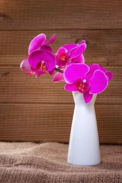 Pink orchid on a rustic background Stock Photos