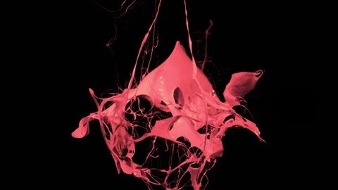 Pink paint balloon explodes slowly showing viscous fluid motion against black Stock Footage 327598948