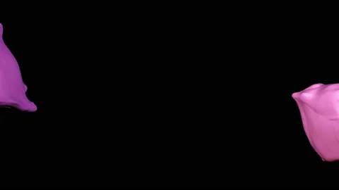 Pink paint splash thrown in slow motion, liquid isolated on black (4K) Stock Footage 137111332