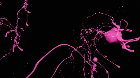 Pink paint splash thrown in slow motion, liquid isolated on black (4K) Stock Footage 137112398