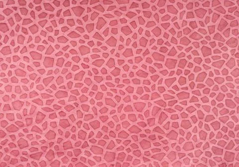 Pink paper with leopard pattern Stock Photos