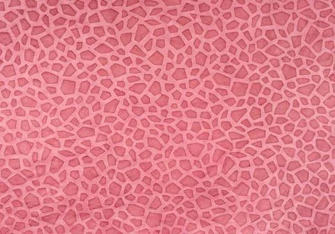 Pink paper with leopard pattern Pink paper with leopard pattern Copyright:... Stock Photos