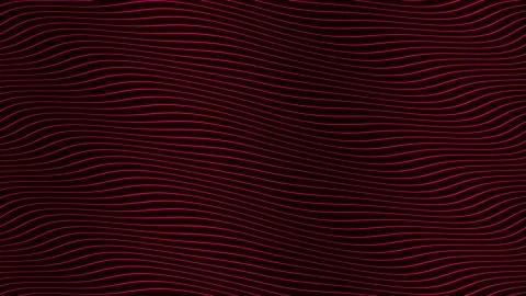Pink parallel wave lines slow flowing animation on black background. Dynamic  Stock Footage 202592970