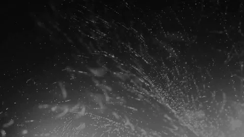 Pink Particles Animation Loop  Stock Footage 221786652