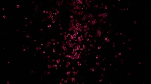 Pink Particles on a Black Background a Video stock 131332695