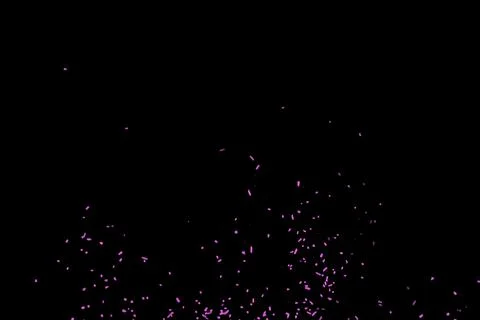 Pink particles splatter on black background. Stock-Fotos