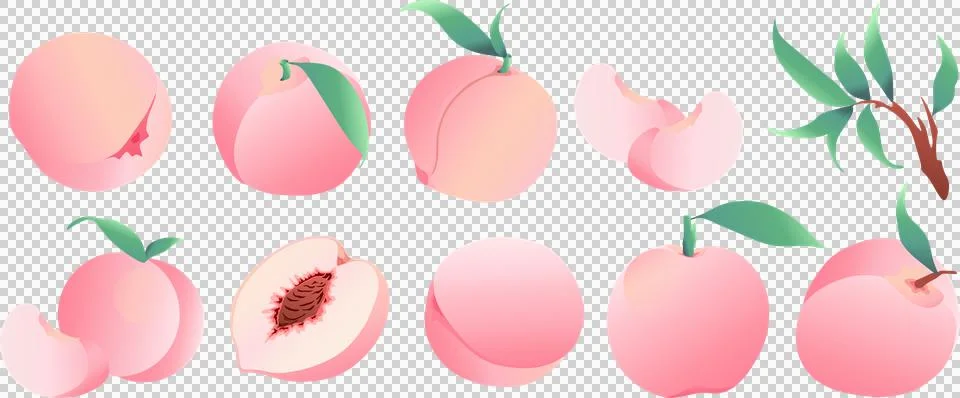 Pink Peach Fruit Vector Collection Whole, Halves and Slices Stock Illustration