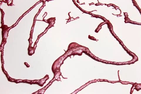 Pink pearly metallic glitter paint splatter on a White background Stock Photos