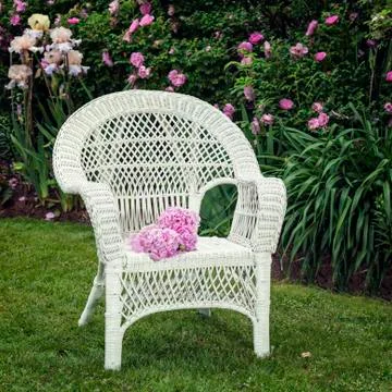 Pink peonies Stock Photos