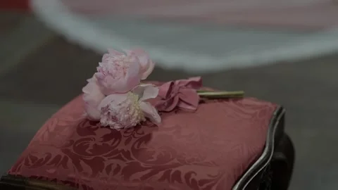 Pink Peonies on Red Damask Cushion Close Up Stock Footage 342762440