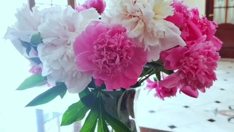 Pink peonies in the vase on the table in modern light interior. Stock Footage 277956418