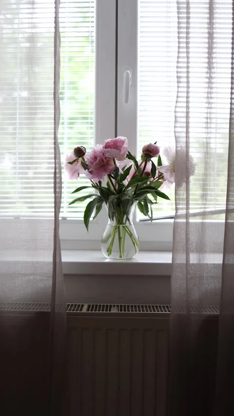 Pink peonies in vase by window Stock Footage 336487296