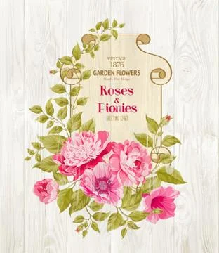 Pink peony. Stock Illustration