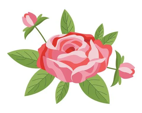 Pink peony with leaves Stock Illustration