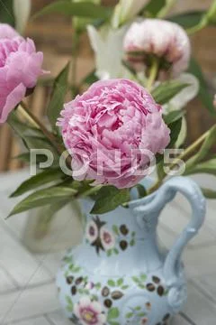 A Pink Peony In A Painted Porcelain Vase