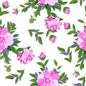 Pink peony pattern on white background, vector illustration 스톡 일러스트