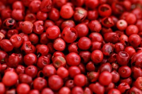 Pink Pepper Stock Photos