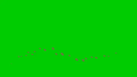 Pink persent wave green Stock Footage 200919919