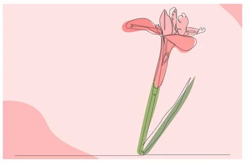 Pink Petaled Flower Background Vector Stock Illustration