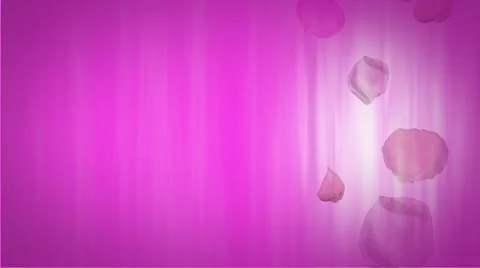 Pink Petals 1080  background Stock Footage 50670347