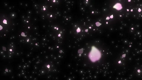 Pink petals falling slowly through glowing dust particles against deep black Video stock 343819284