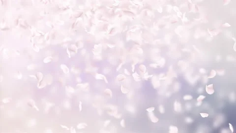 Pink petals of sakura falling on romantic abstract background. Looped 4K motion Stock Footage 102942210
