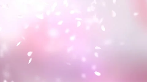Pink petals of sakura falling on romantic abstract background. Looped 4K motion Stock Footage 104084302