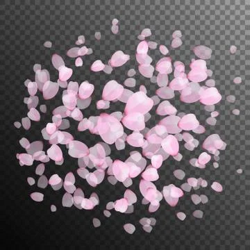 Pink petals of sakura Stock Illustration