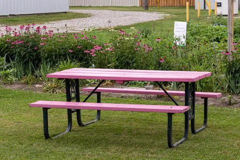 Pink picnic table Stock Photos